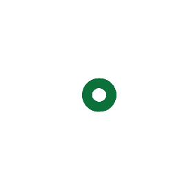 Vision
